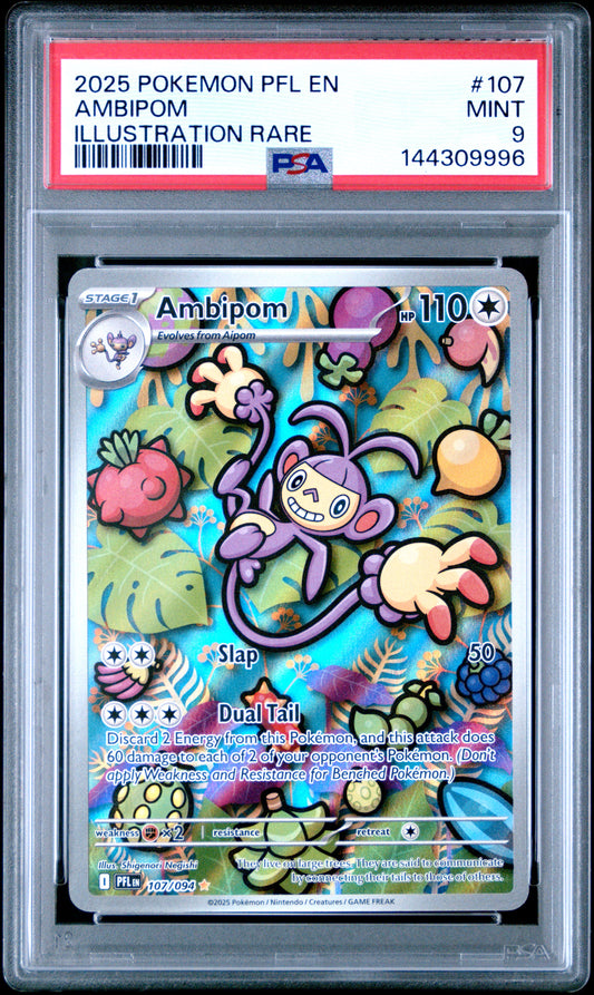 2025 Pokemon Pfl En-Phantasmal Flames Ambipom Illustration Rare #107 PSA 9